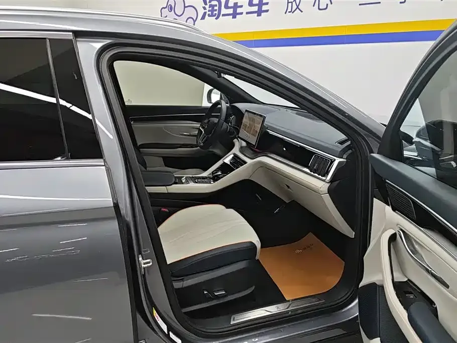 BYD PLUS New Energy — фото 3