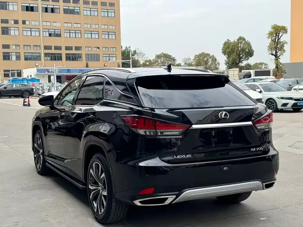 Lexus RX — фото 8