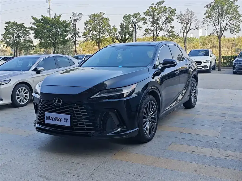 Lexus RX — фото 1