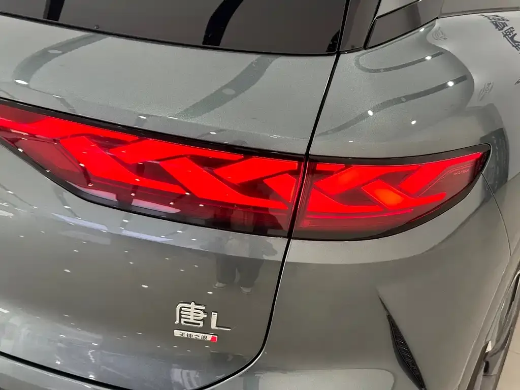 BYD Tang L — фото 3