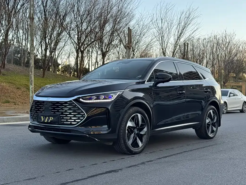 BYD Tang New Energy — фото 1