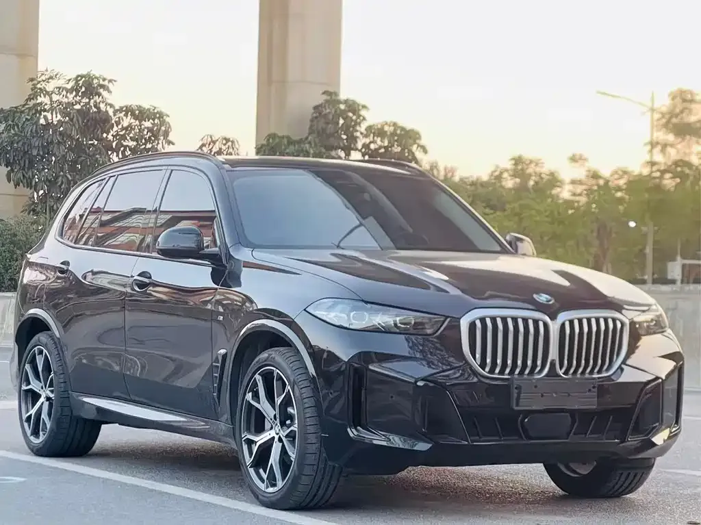 BMW X5 — фото 5