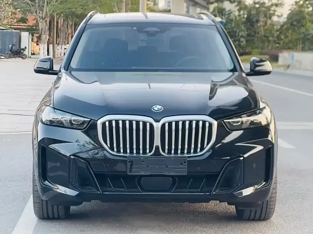 BMW X5 — фото 9