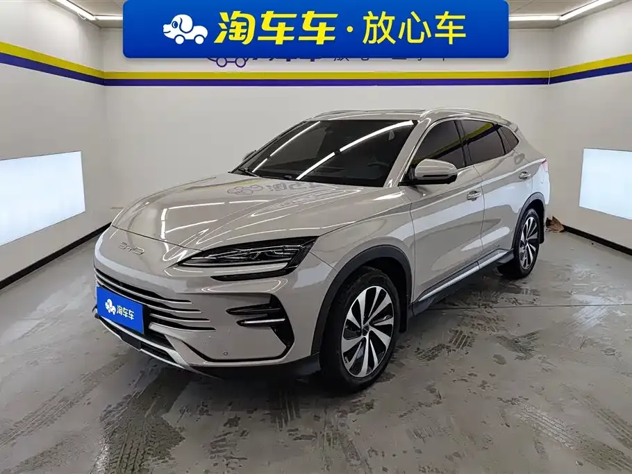BYD PLUS New Energy — фото 1
