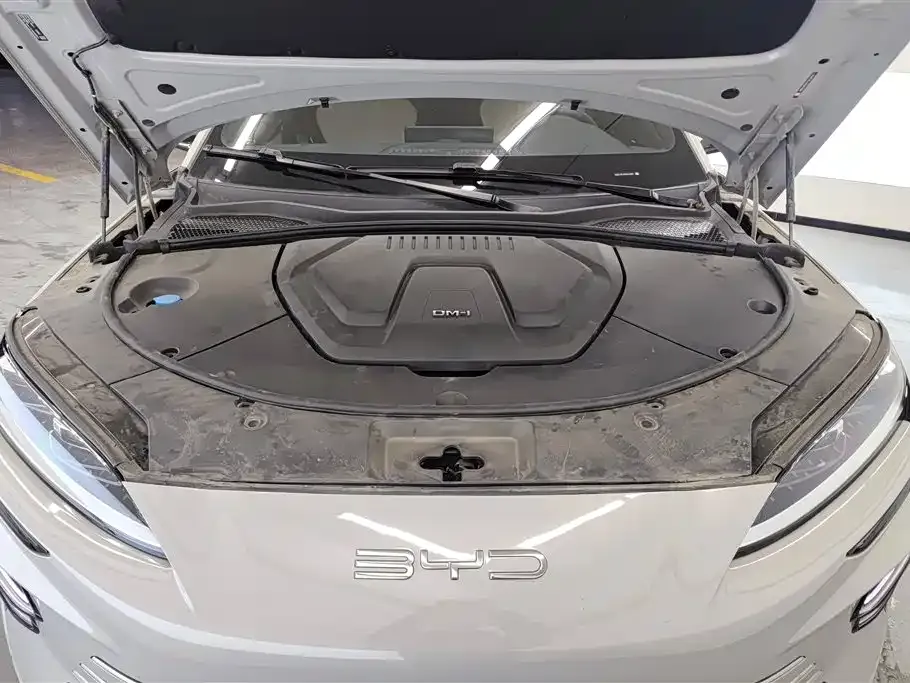 BYD PLUS New Energy — фото 4