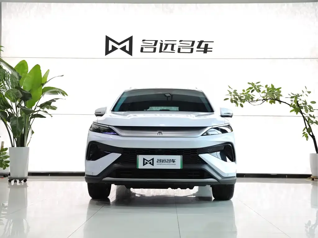 BYD Pro New Energy — фото 3