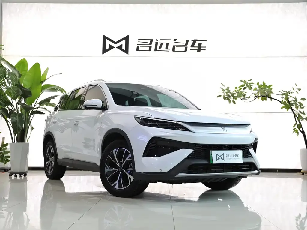 BYD Pro New Energy — фото 5