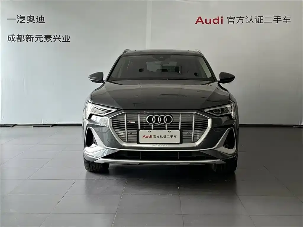 Audi e-tron — фото 2