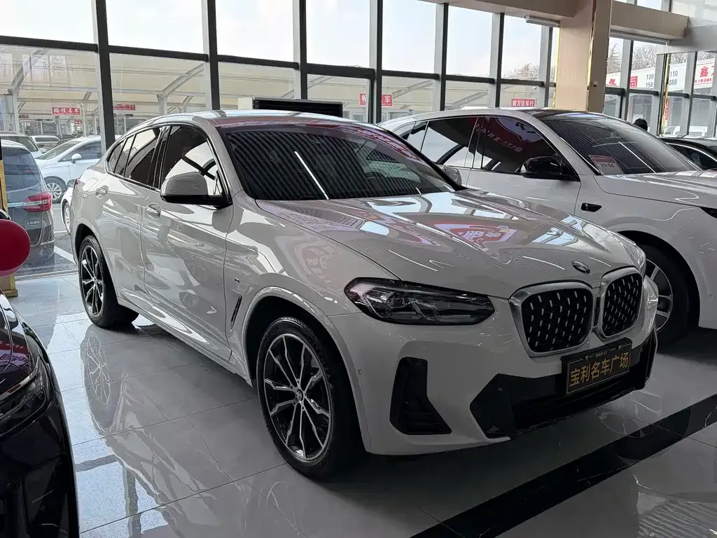 BMW X4 — фото 10