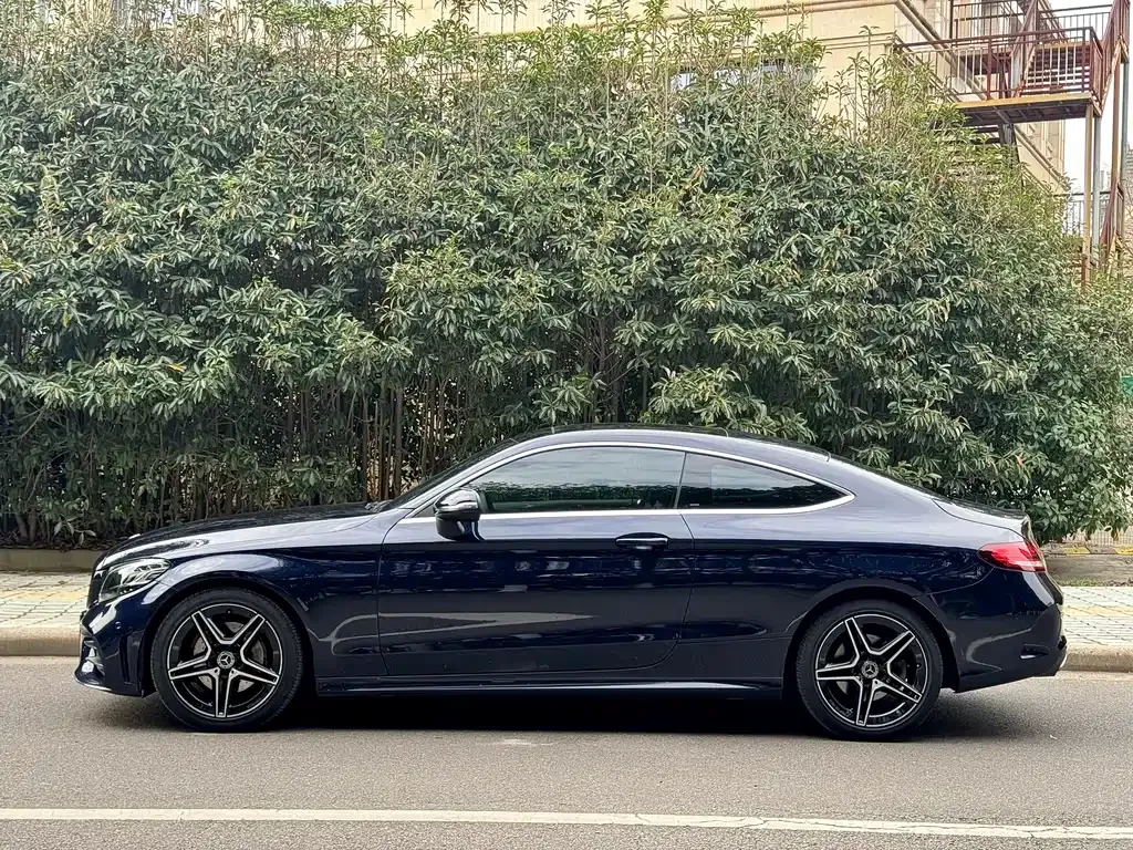 Mercedes-Benz C-Class (Import) — фото 8