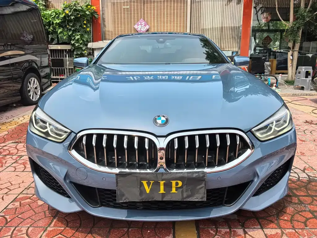 BMW 8 Series — фото 9