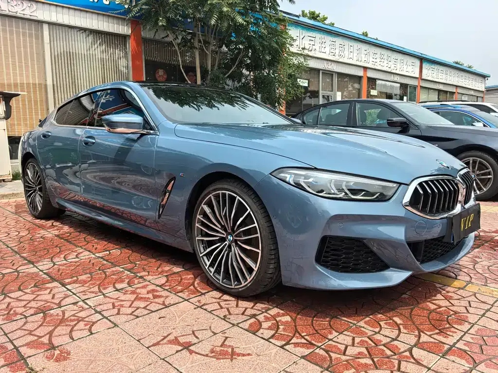 BMW 8 Series — фото 10