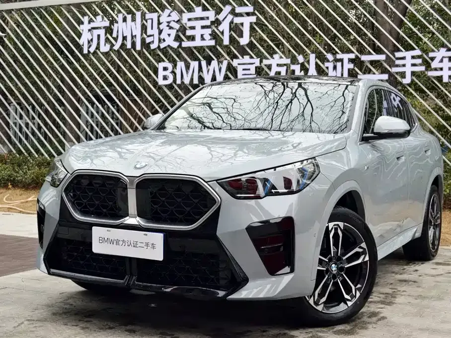 BMW X2 (Import) — фото 1