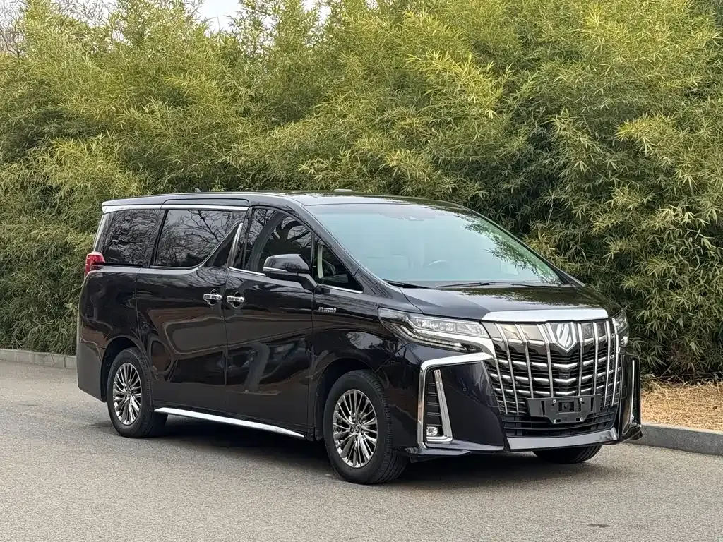 Toyota Alphard — фото 10