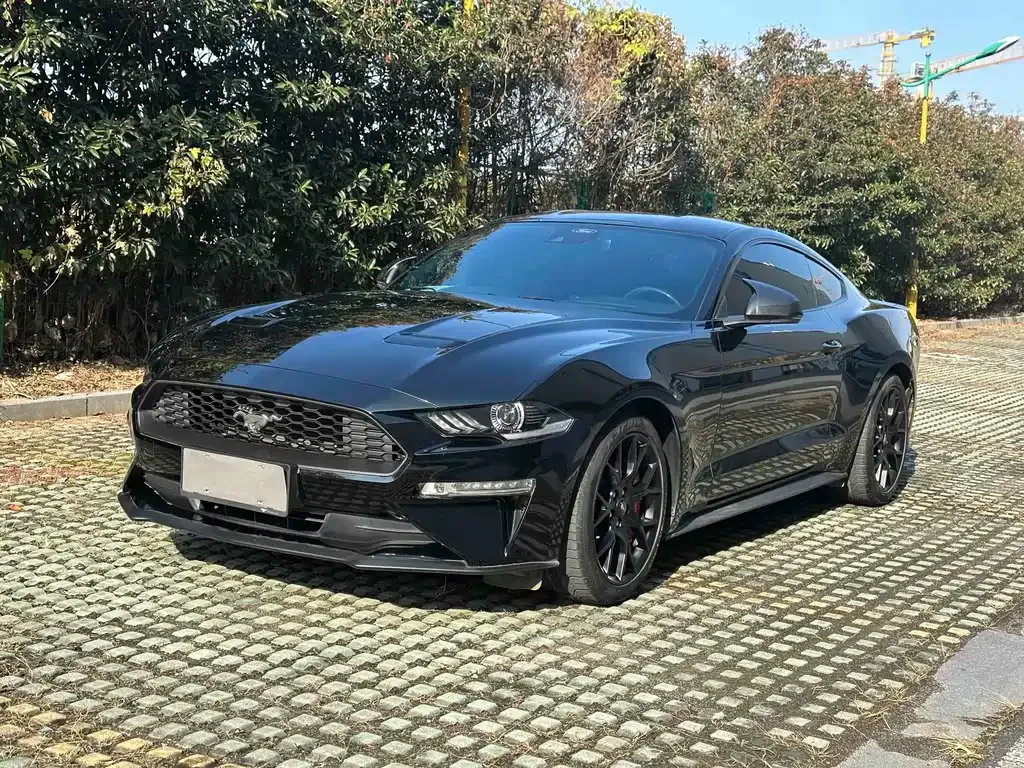 Ford Mustang — фото 1