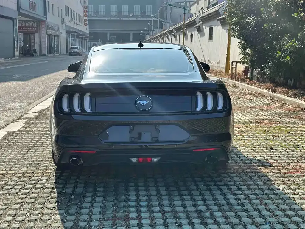 Ford Mustang — фото 10