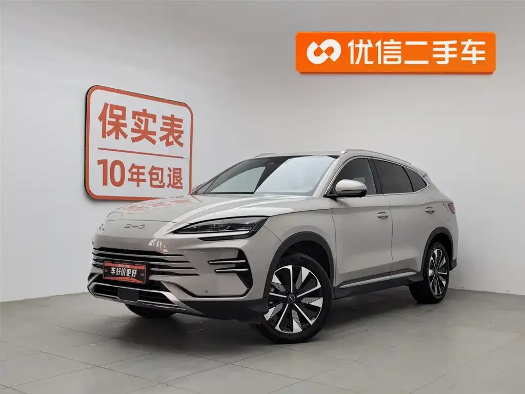 BYD PLUS New Energy — фото 1