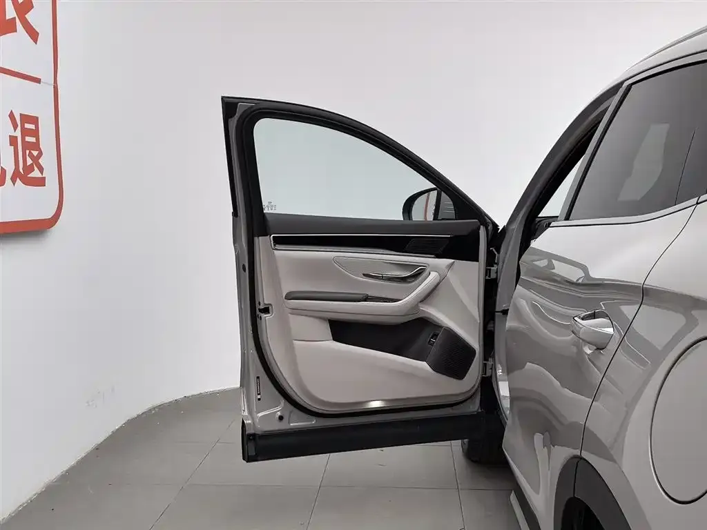 BYD PLUS New Energy — фото 4