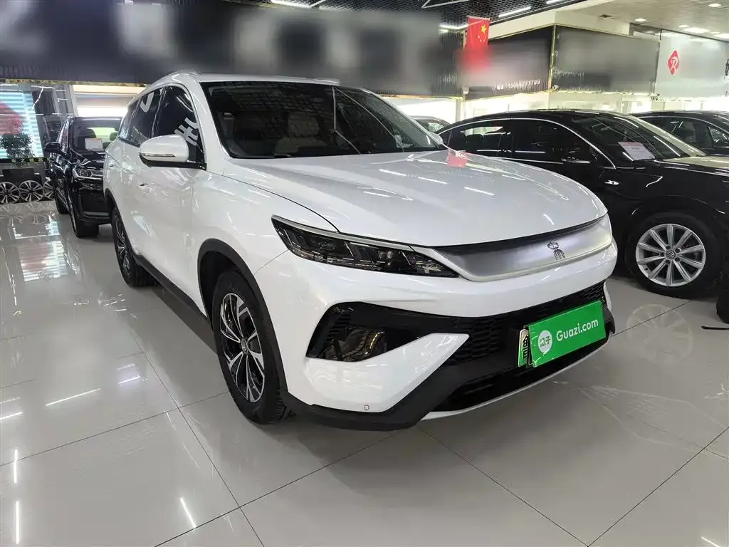 BYD Pro New Energy — фото 6