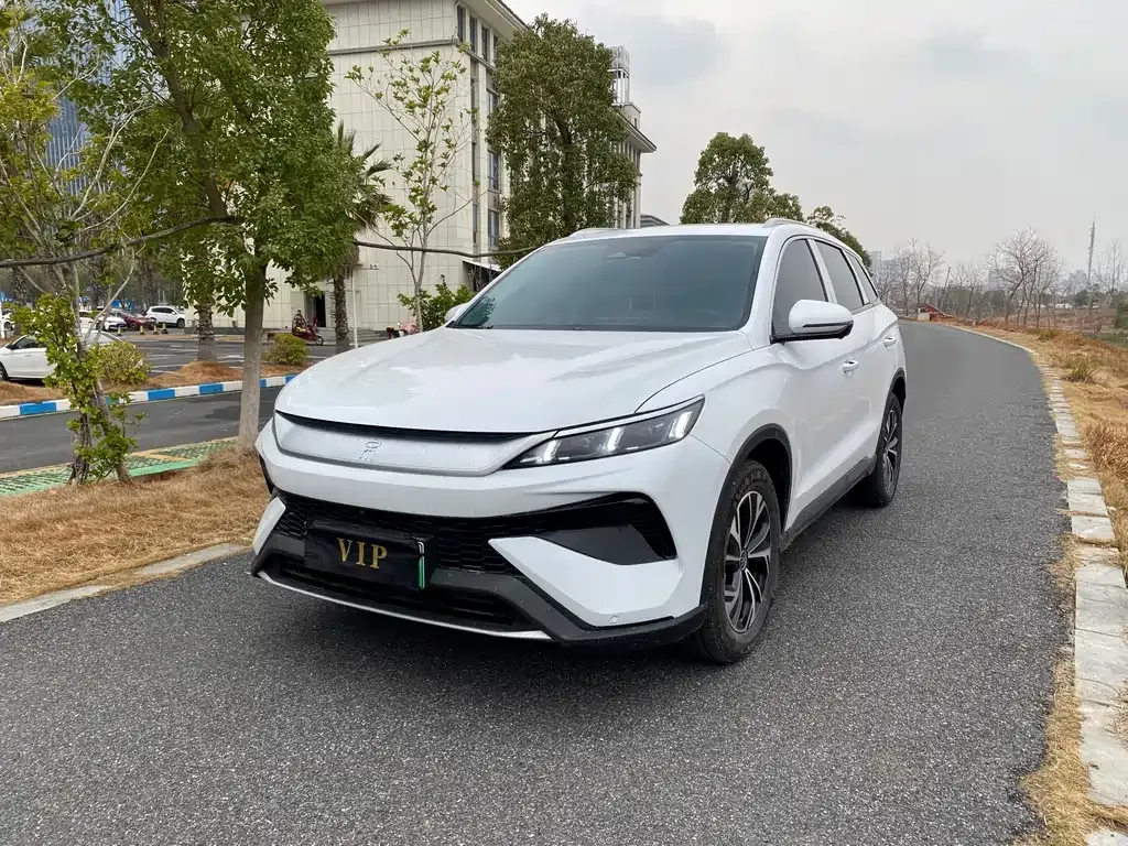 BYD Pro New Energy — фото 1