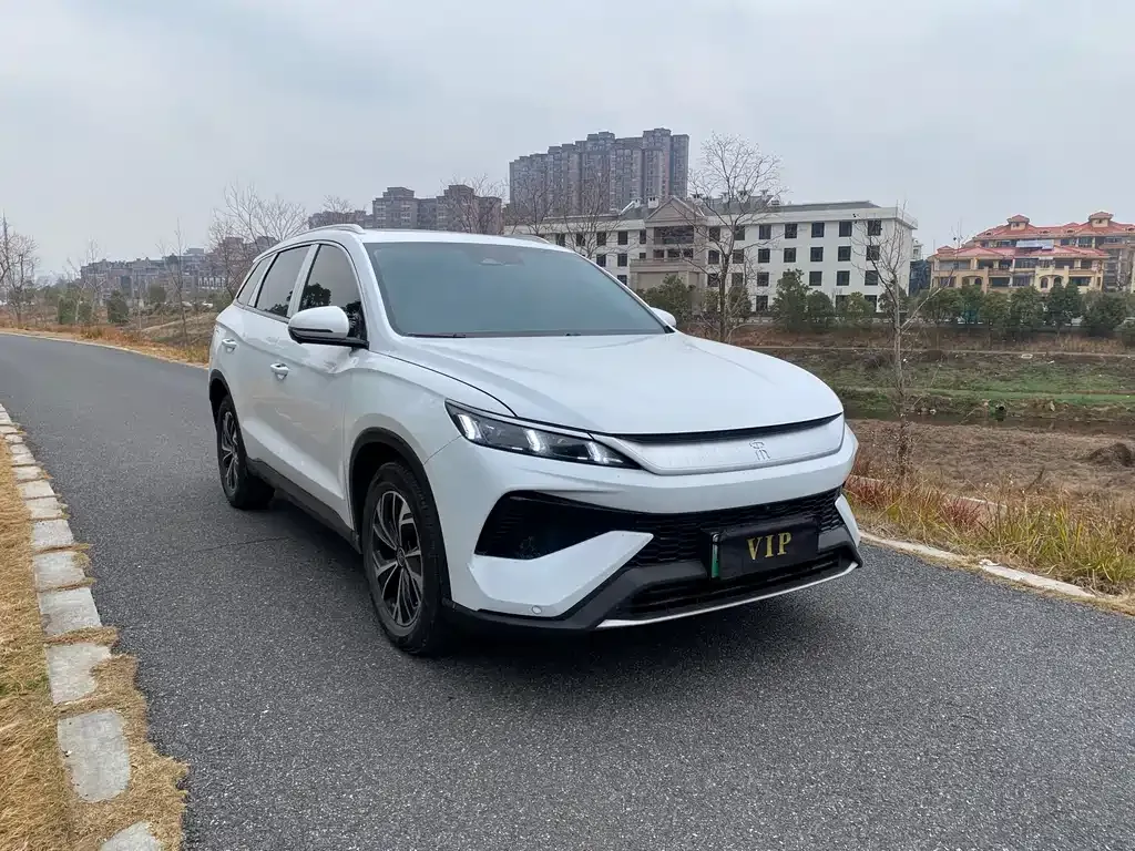BYD Pro New Energy — фото 8