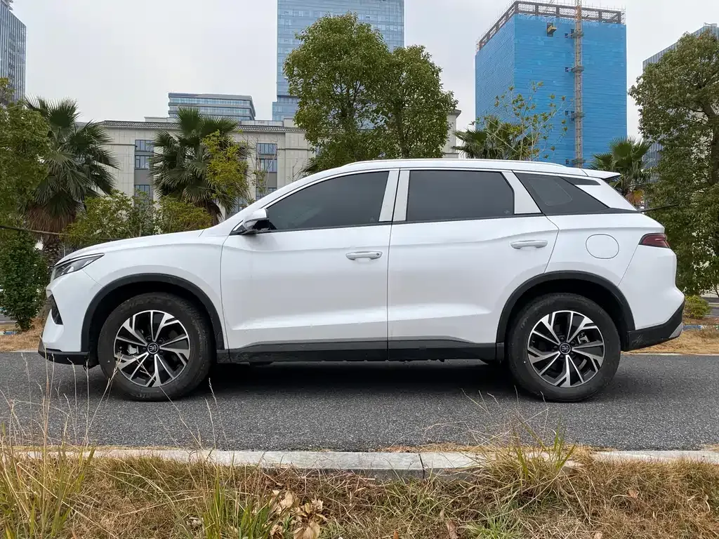 BYD Pro New Energy — фото 6