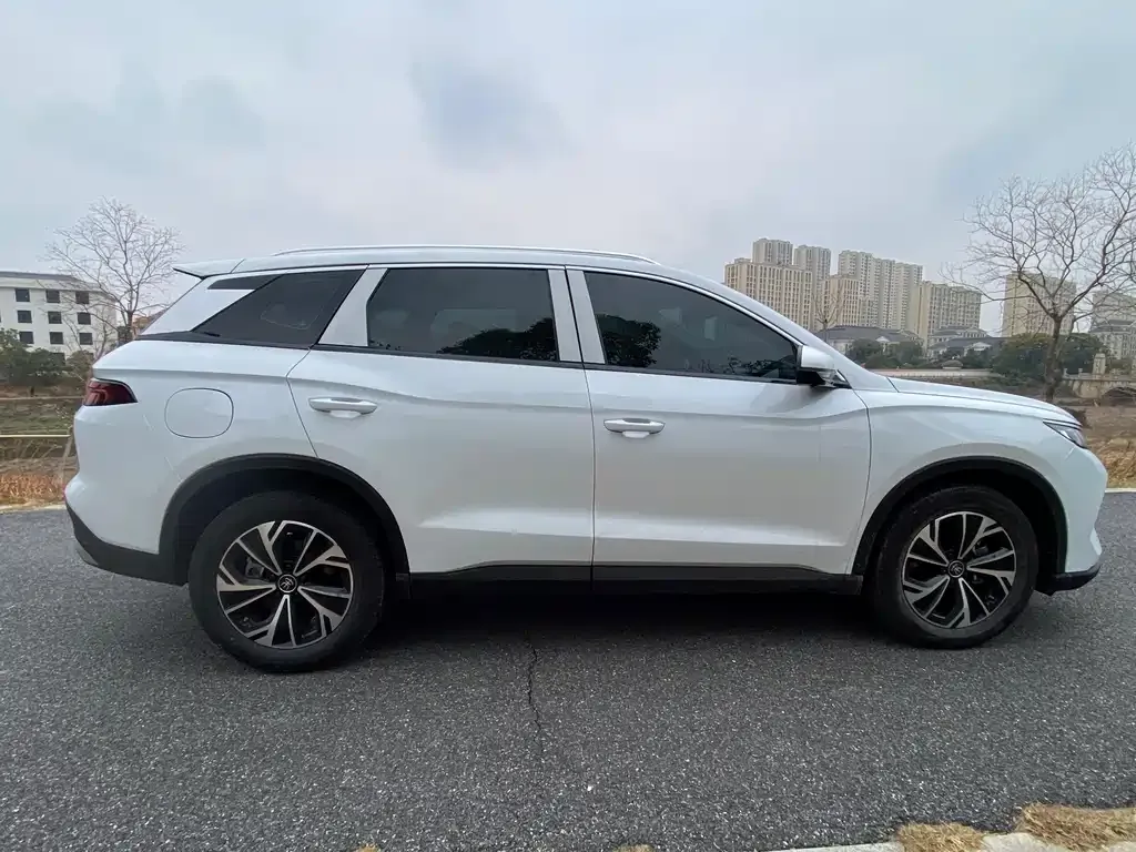 BYD Pro New Energy — фото 7