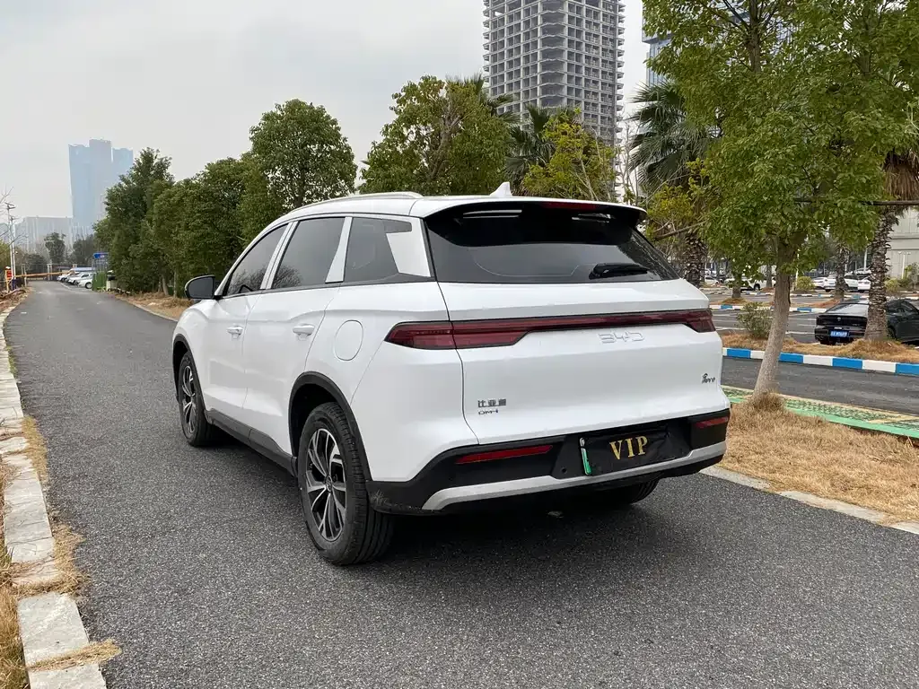 BYD Pro New Energy — фото 2