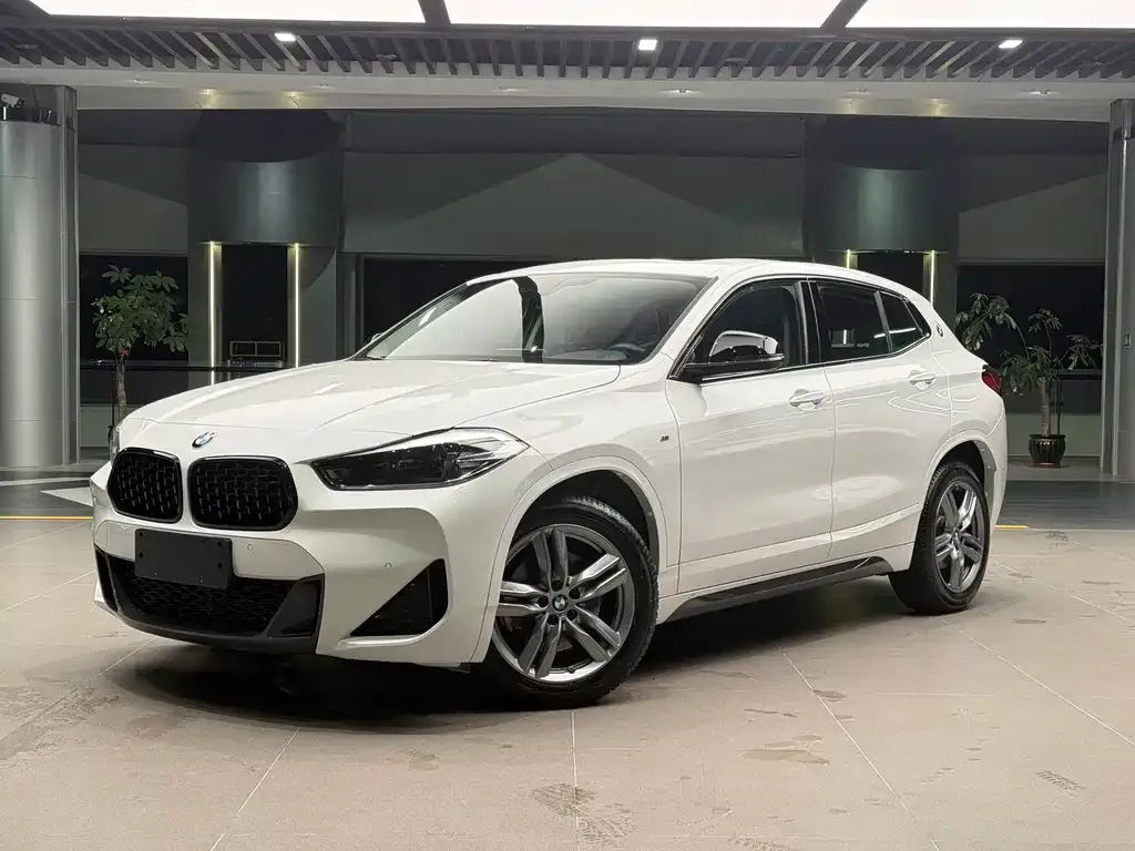 BMW X2 — фото 1