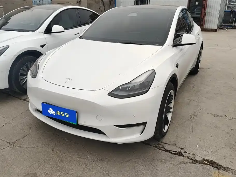 Tesla Model Y — фото 1
