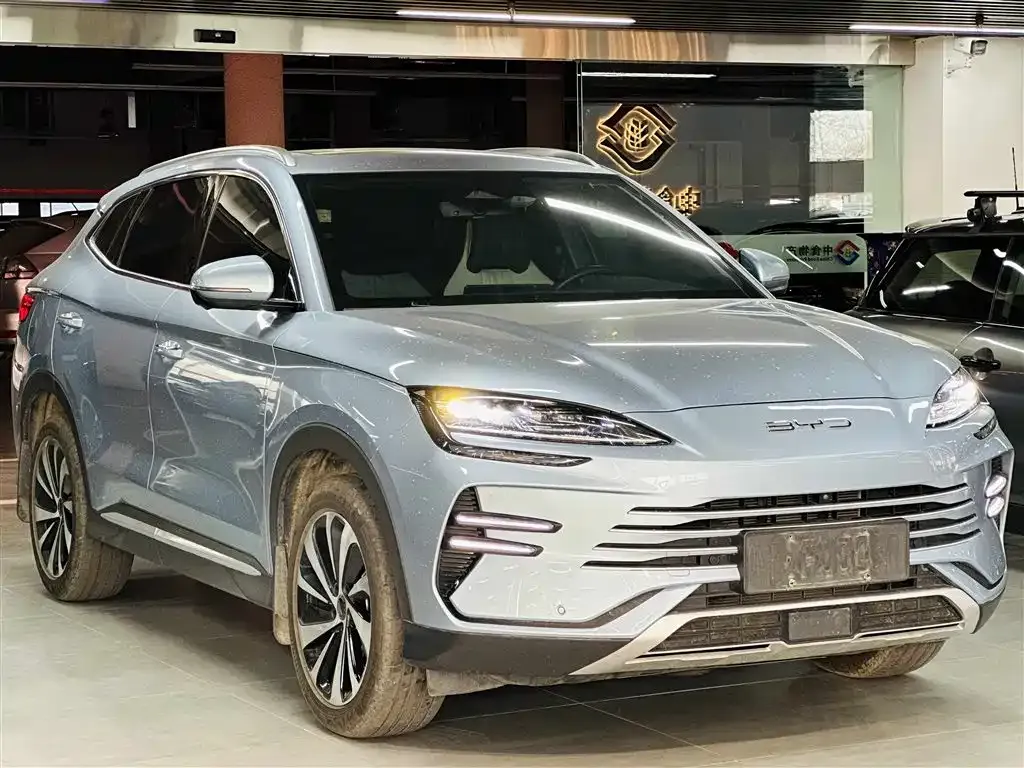 BYD PLUS New Energy — фото 8
