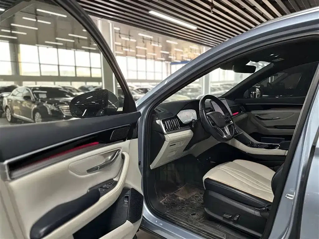 BYD PLUS New Energy — фото 7