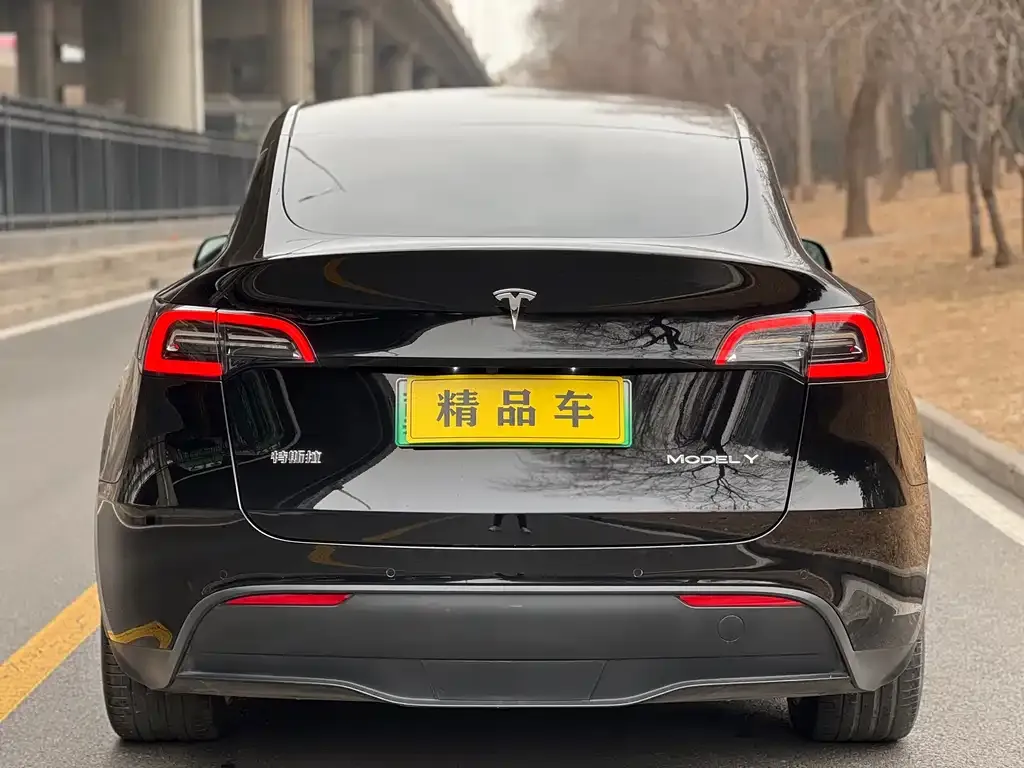 Tesla Model Y — фото 2