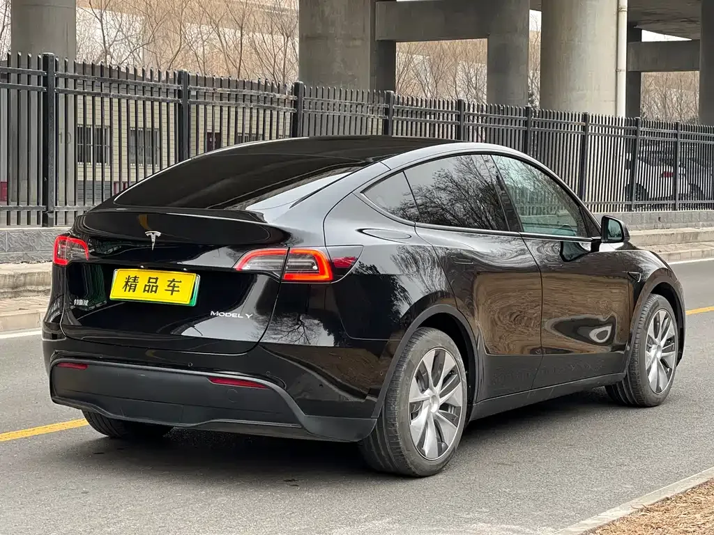 Tesla Model Y — фото 3
