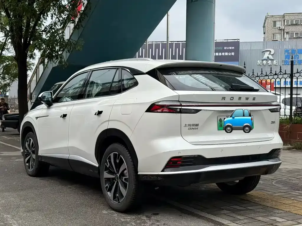 Roewe D5X DMH — фото 10