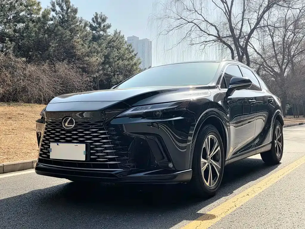 Lexus RX — фото 1