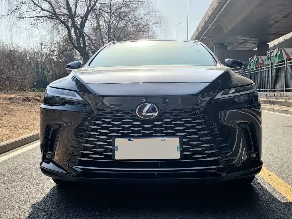 Lexus RX — фото 7
