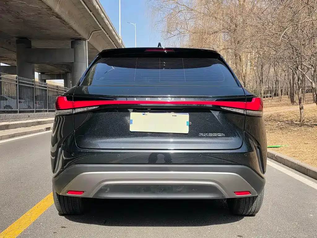 Lexus RX — фото 8