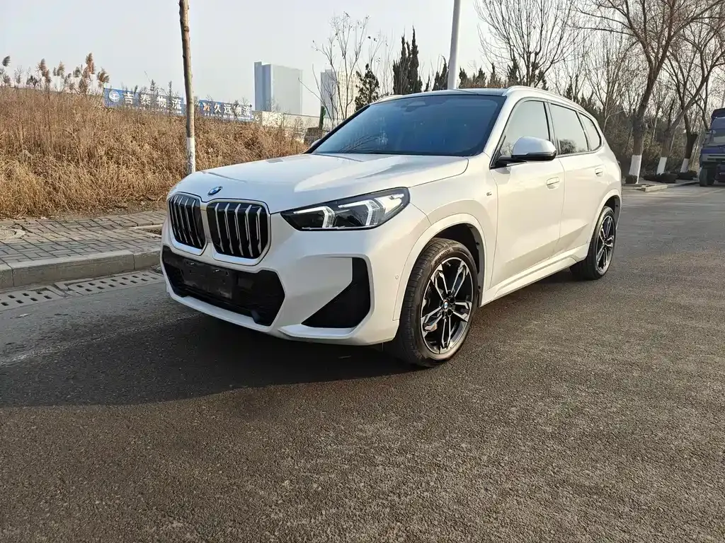 BMW X1 — фото 1