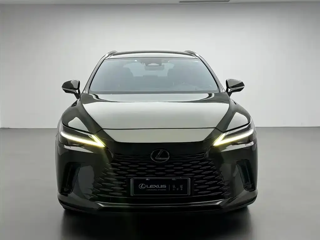 Lexus RX New Energy — фото 2