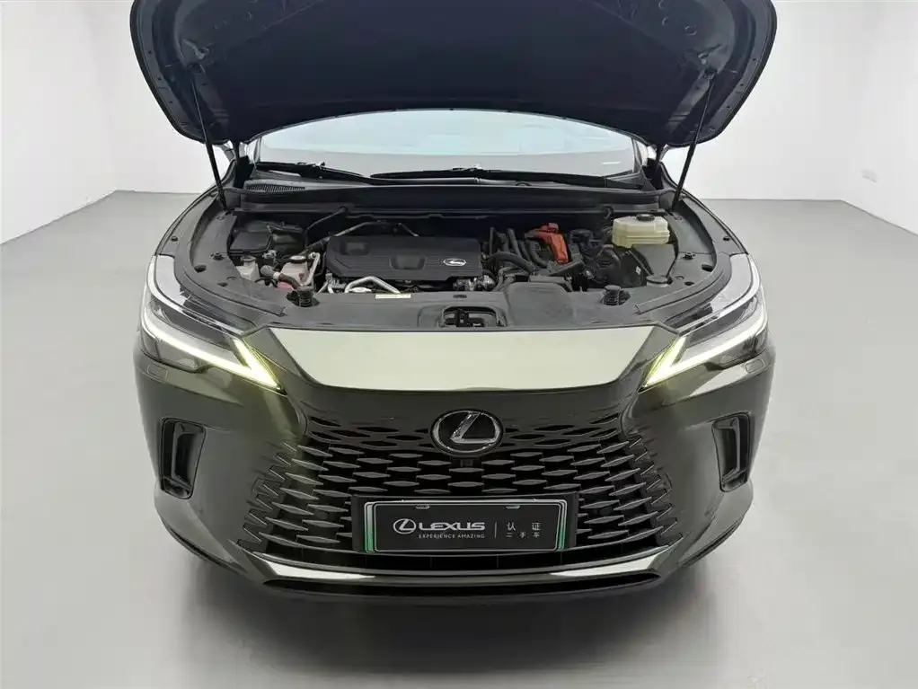 Lexus RX New Energy — фото 4