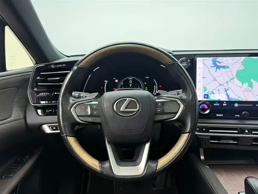 Lexus RX New Energy — фото 8