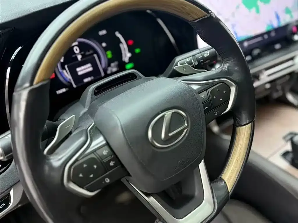 Lexus RX New Energy — фото 6