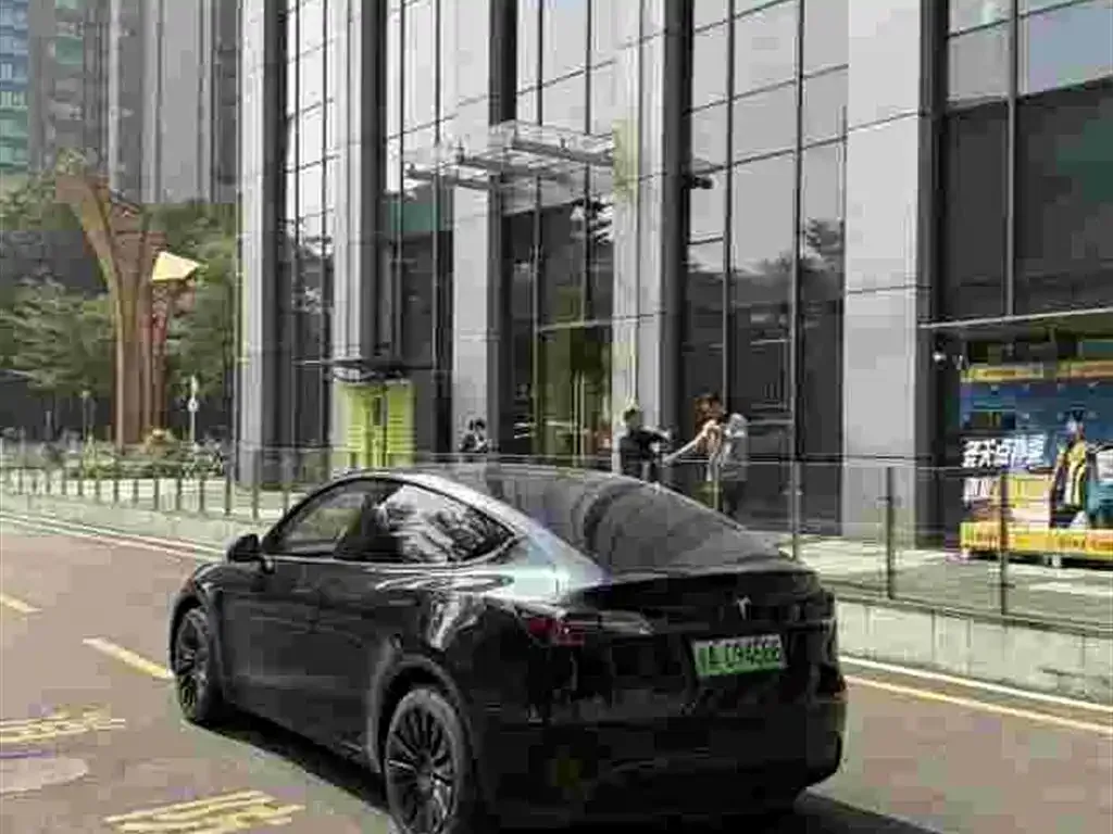 Tesla Model Y — фото 3