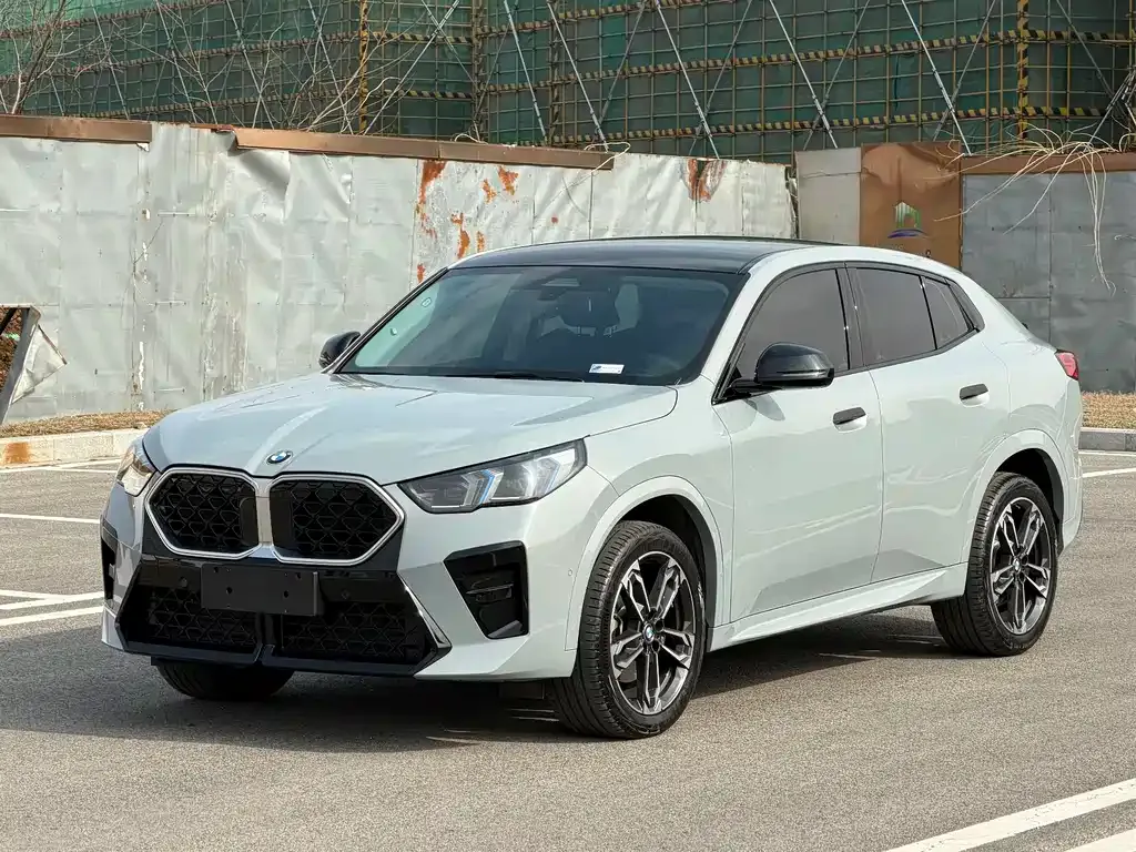 BMW X2 (Import) — фото 1