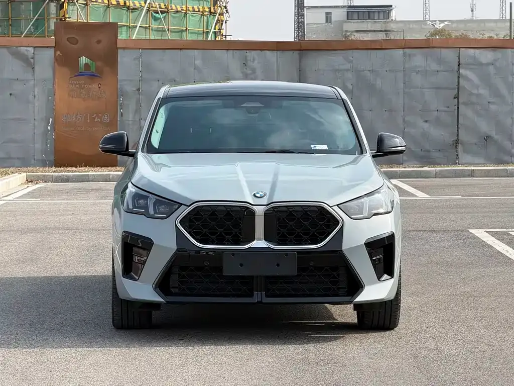 BMW X2 (Import) — фото 6