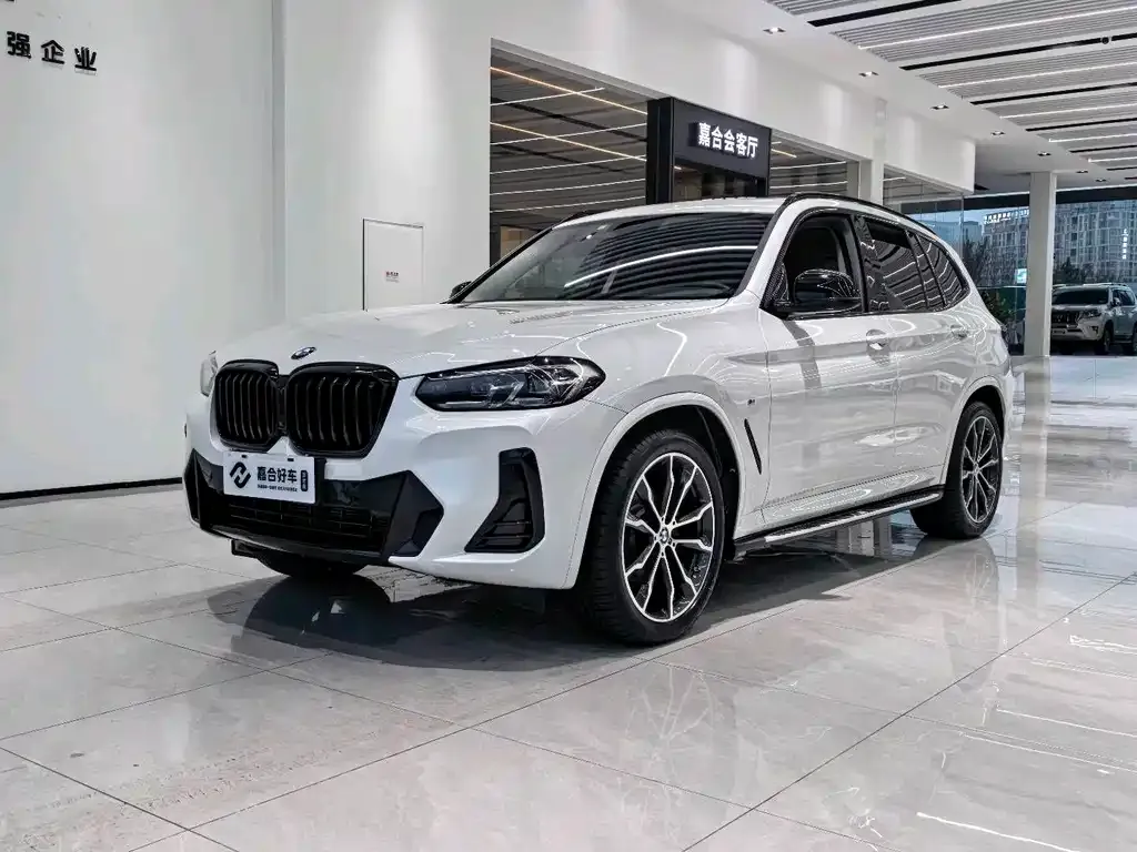 BMW X3 — фото 1