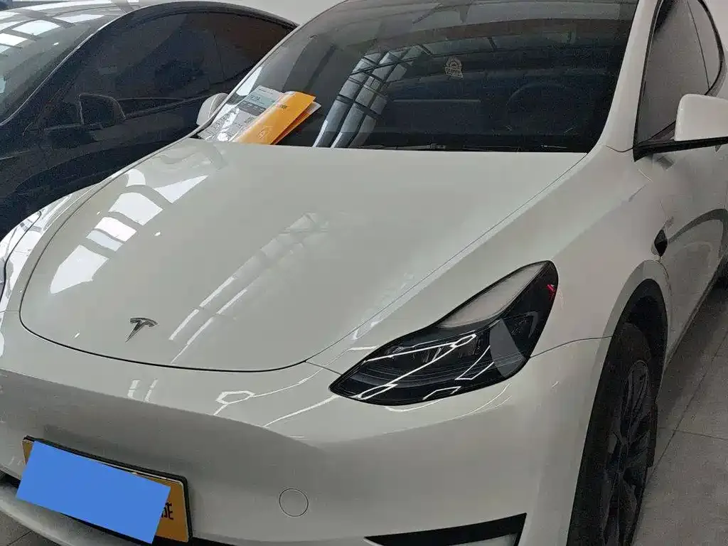 Tesla Model Y — фото 1