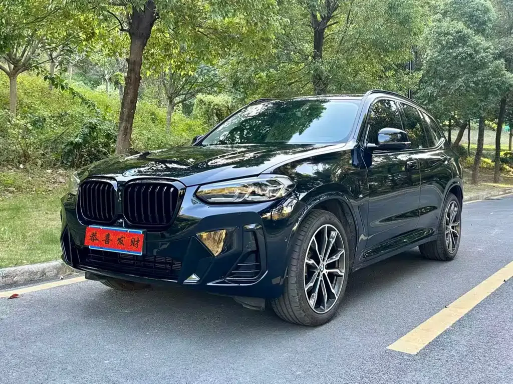 BMW X3 — фото 1