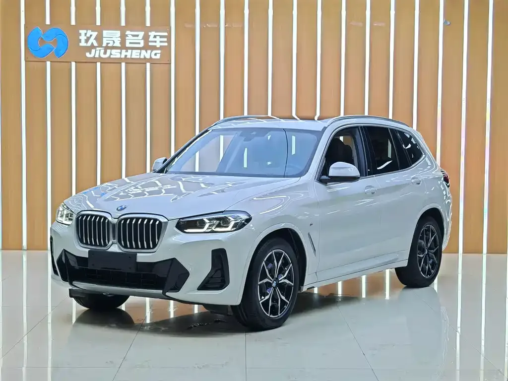 BMW X3 — фото 1